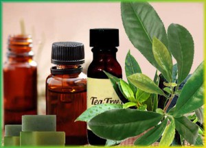 Масло чайного дерева - лечение - применение для лица, волос, кожи